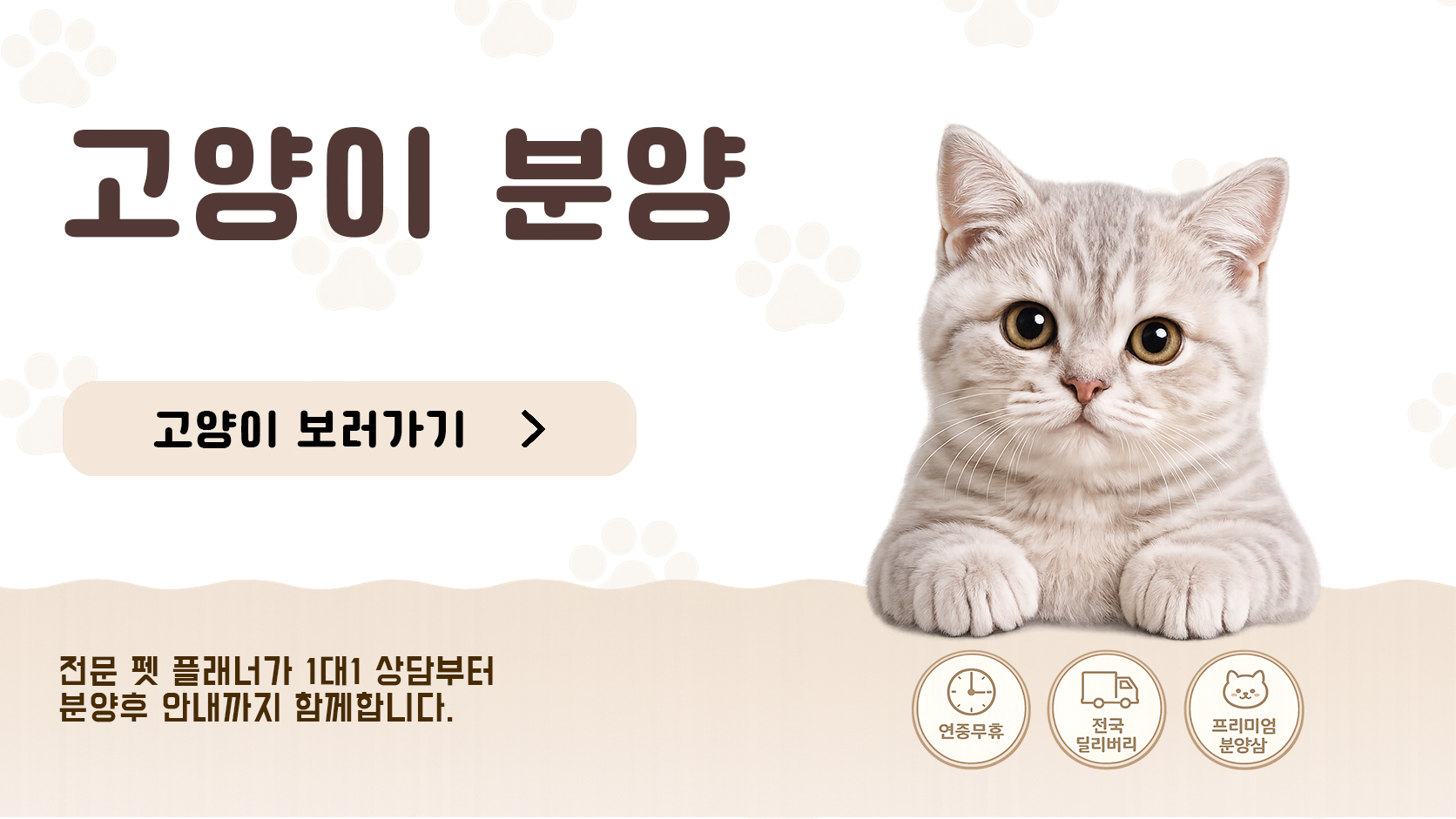 슬라이드 3 - 고양이 보러가기