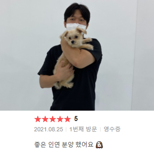 분양후기