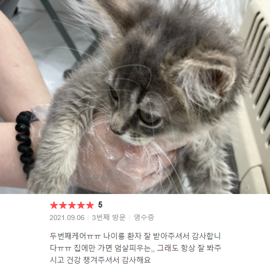 분양후기