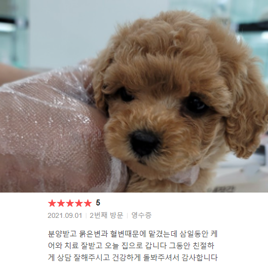 분양후기
